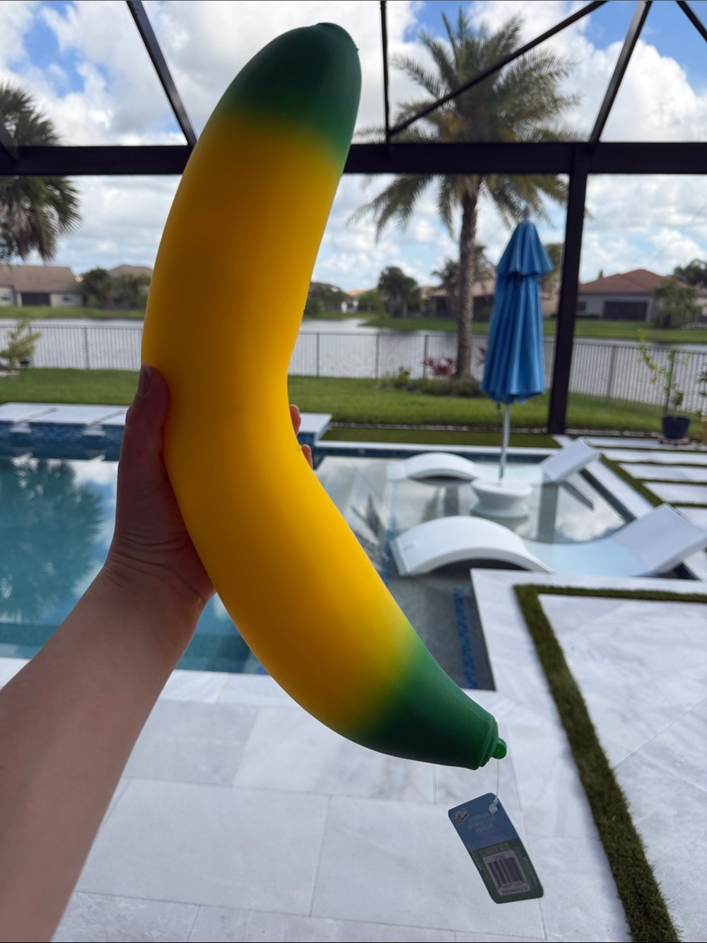 Yellow & Green Banana squishy